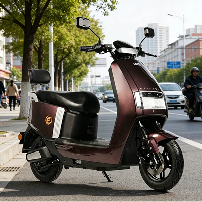 Elektrikli motosikletlər Electric Motorcycles, Unisex Electric Vehicles