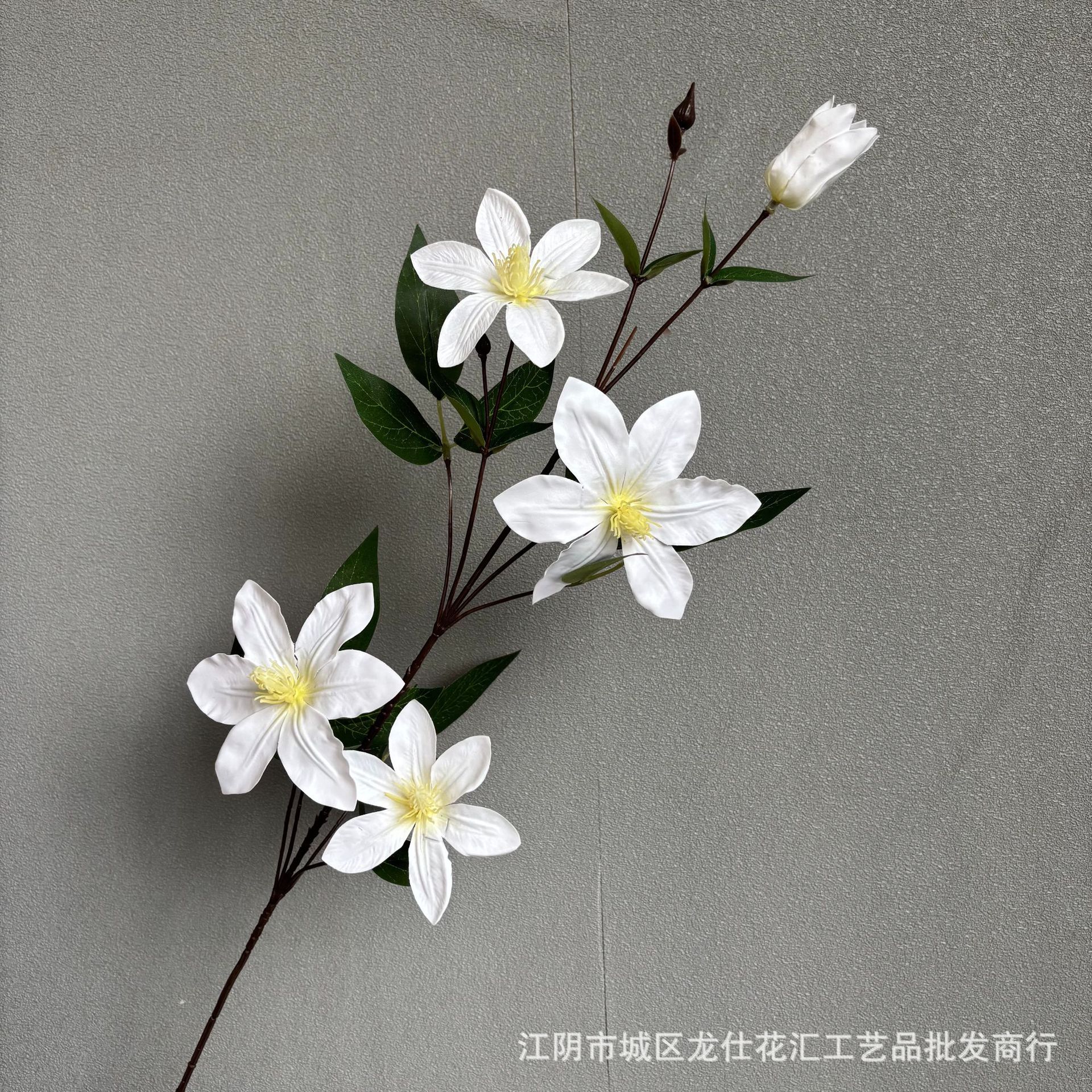실크스크린 클레마티스