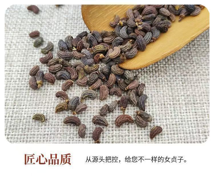 Nuzhenzi Dried Ligustrum Fruit 500g Whole Glossy Privet Berries Traditional Chinese Herb for Decoction and Culinary Use quality and texture