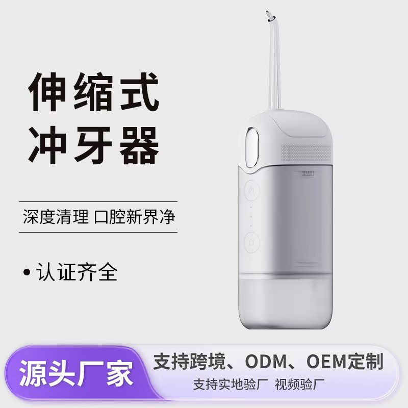 Cross-Border Portable Household Electric Pulse Tooth Rinser Oral Care Household Water Flosser Tooth Cleaning Artifact Wholesale