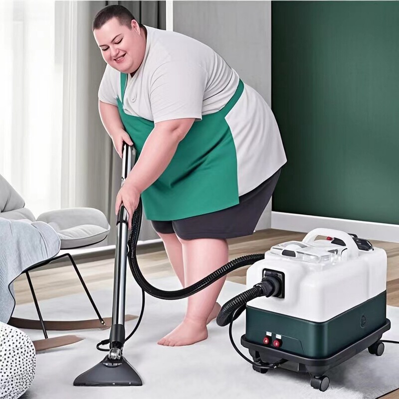 Fabric Soft Furnishing Cleaning Machine Spray-Extraction Integrated Sofa Curtain Mattress Carpet Cleaning Machine Hotel Cinema