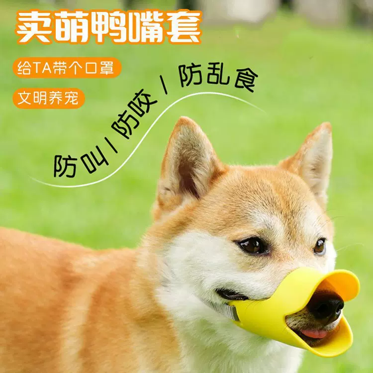 狗狗嘴套防咬防乱吃小型中型犬宠物口罩小狗止吠器用品防叫防扰民