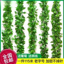 �����~�ٻ����~���ٗl�Gֲ���b��ٵ��ˮ�ܵ����������p�@