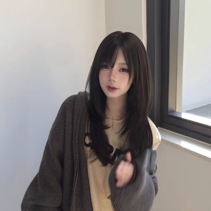 【送料無料 ウィッグ】女性用ウィッグ ハイレベルストレートヘア 有村架純肩丈ヘアフルヘッドウィッグ 女性用|undefined