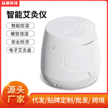 定制智能艾灸仪美容院理疗熏蒸仪家用无烟充电便携艾灸盒养生艾灸