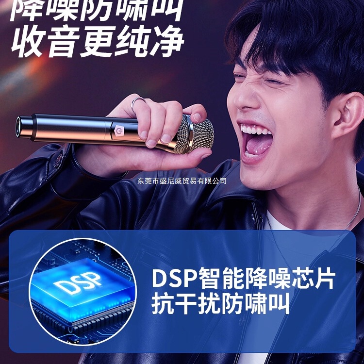 万能无线话筒一拖二k歌麦克风全民家用唱歌ktv连音响专业户外通用|undefined
