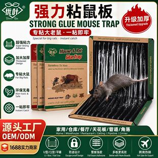 �羳��������ճ��匣ճ������������N�����z����׽����������
