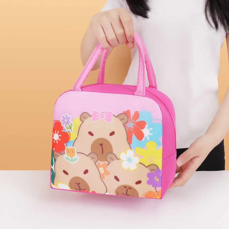 Bolsa de almuerzo infantil de dibujos animados bolsa de almuerzo portátil bolsa de almuerzo aislante de calor bolsa de almuerzo lindo bolsa de almuerzo al trabajo y la escuela estudiantes con bolsa de almuerzo
