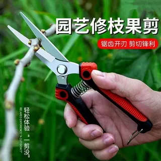园林花剪园艺剪刀细齿摘果剪强力剪子不锈钢修枝剪盆景蔬果剪刀