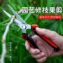 摘果园林不锈钢园艺修枝剪