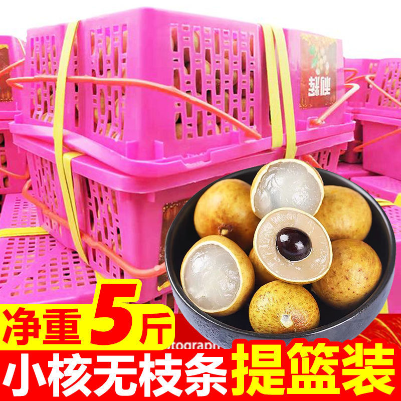 Longan 25 10 grain Season fresh fruit Longan One piece On behalf of Cross border Manufactor