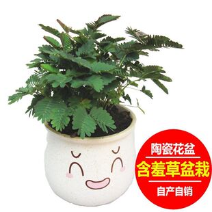 ���߲������մ���Сֲ�����k���҃����洰̨�̨��ͯȤζ���߲�