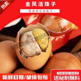 金凤活珠子开袋即食新鲜熟制天鸡胚蛋五香辣山东活鸡蛋