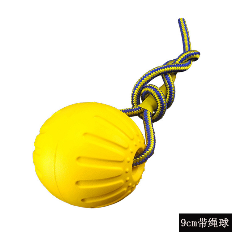可贴标现货EVA拉环浮水宠物玩具飞盘狗狗耐咬带绳球磨牙金毛玩具|undefined