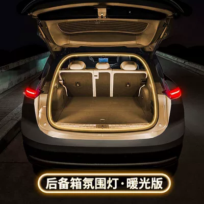 Atmosphere Light Automatic Sensor Led – Tail light - warm-light-4m-universal-pinstrap-tool