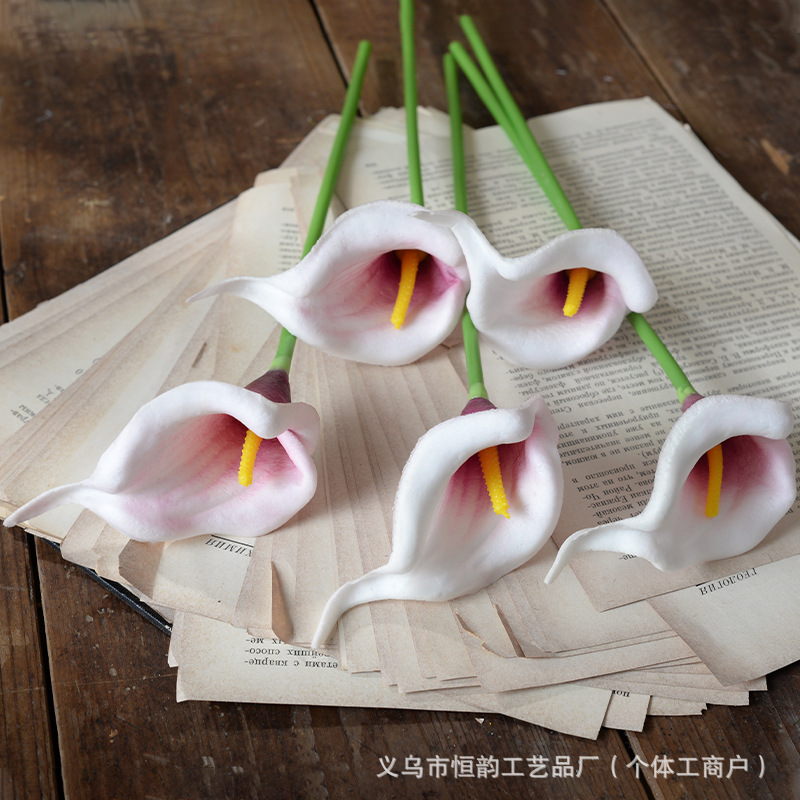 흰색 바탕에 보라색