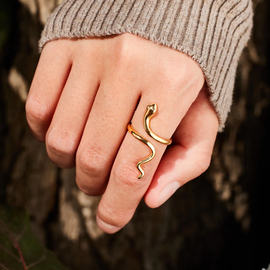 Casual Streetwear Snake Sterling Silver Plating Open Rings display picture 2