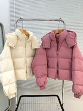 ��q��Ů�̿�2026���¿��n��С����������W����Óжñ���ÿ�����