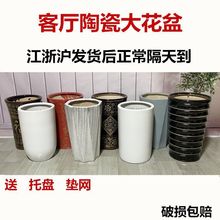 黑白色高筒螺纹特大号陶瓷花盆散尾葵发财树凤尾松金钱树异形花盆