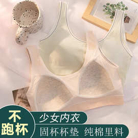 少女内衣固定杯小学生高初中生女童文胸罩发育期儿童女棉无痕背心