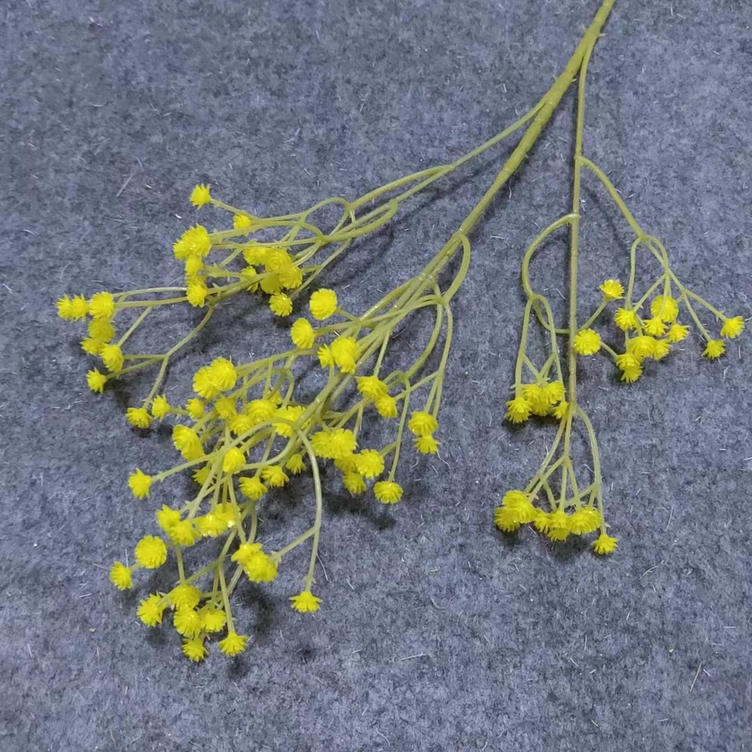 All over the Sky star