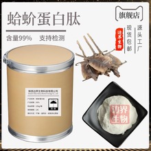蛤蚧蛋白肽98% 蛤蚧肽 食品级蛤蚧蛋白肽粉 边界生物 现货批发价