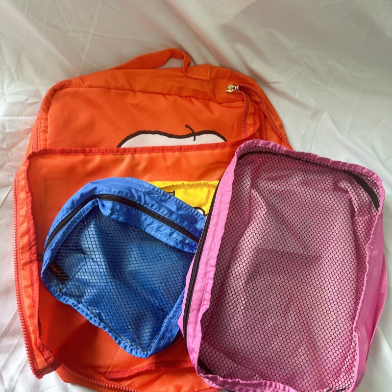 Spot bolsa de almacenamiento de viaje Snoopy japonesa de 4 piezas, equipaje, ropa, zapatos, paquete de almacenamiento, lindo