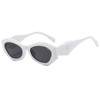 Fashionable sunglasses, brand glasses suitable for men and women, European style