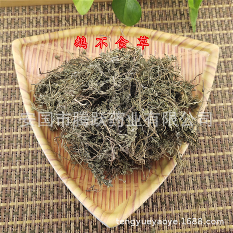 Dried Centipeda Herb E Bu Shi Cao Whole Herb 500g Bag Traditional Chinese Herbal Tea Ingredient overview
