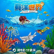 ����80045�����������з��Ϻ����������װģ�Ͷ�ͯƴװ��ľ���