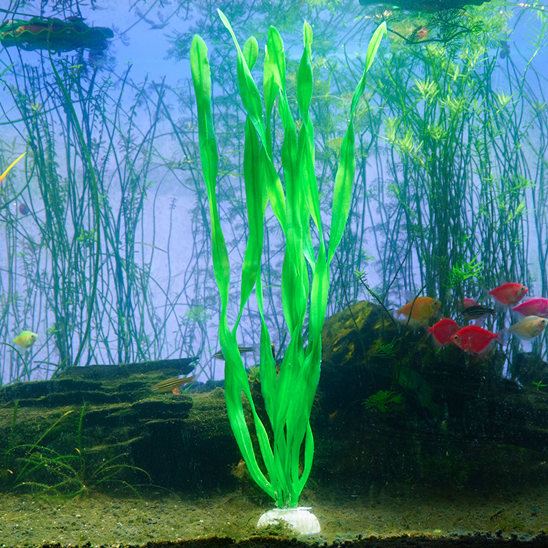 Decoración de la pecera de nuevo estilo, suministro directo transfronterizo, simulación de plástico, algas falsas, cinturón mediano, algas marinas de 35cm, venta caliente