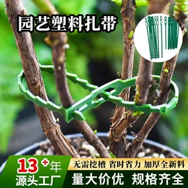 栽培基质;种子;其他园林资材