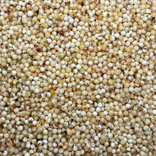 [Natural Raw Amber Beeswax] Russian Porcelain White Flower Wax Beads 5-7mm Wax Full and Rich