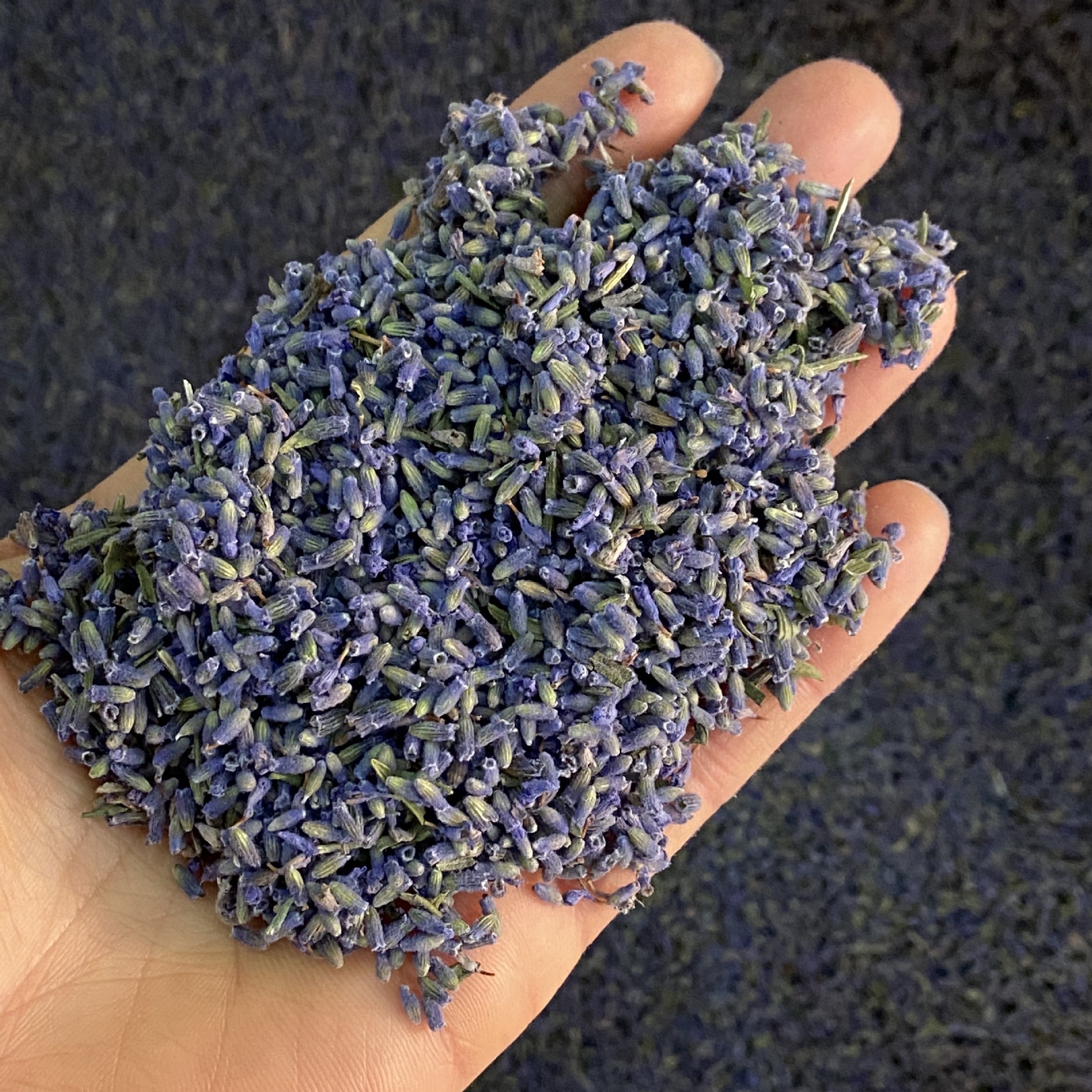 Dried Lavender Buds Xun Yi Cao 1 lb Natural Aromatic Herb for Sachets Pillows and Herbal Blends specifications
