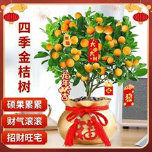 �ļ�����������ԾGֲ���玧���͏d��ֲؔ���҃��������ܳ�����B