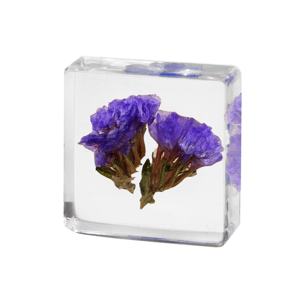 3.8CM small square forget-me-not