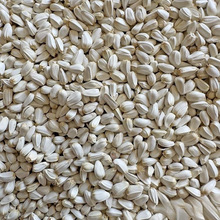 红花籽 红花子 红花籽 鸽粮 鸟食鸟粮仓鼠饲料 小宠零食 50斤中国