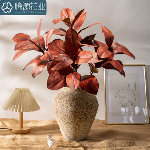 ���m�~����٘�֦�廨�쾰�������~Ƭ�Ƶ�Ӱ��g�bGֲ�ٻ����m