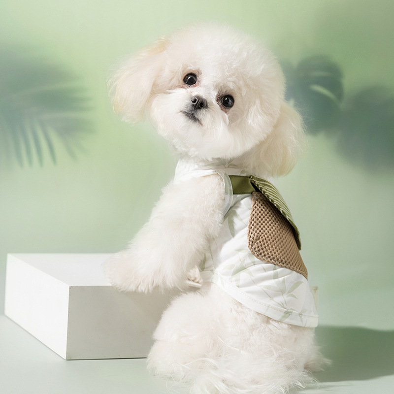 Los perros de verano en el bosque de bambú de verano pueden poner bolsas de hielo en ropa fresca para refrescarse Gatos frescos al aire libre protección solar ropa para perros