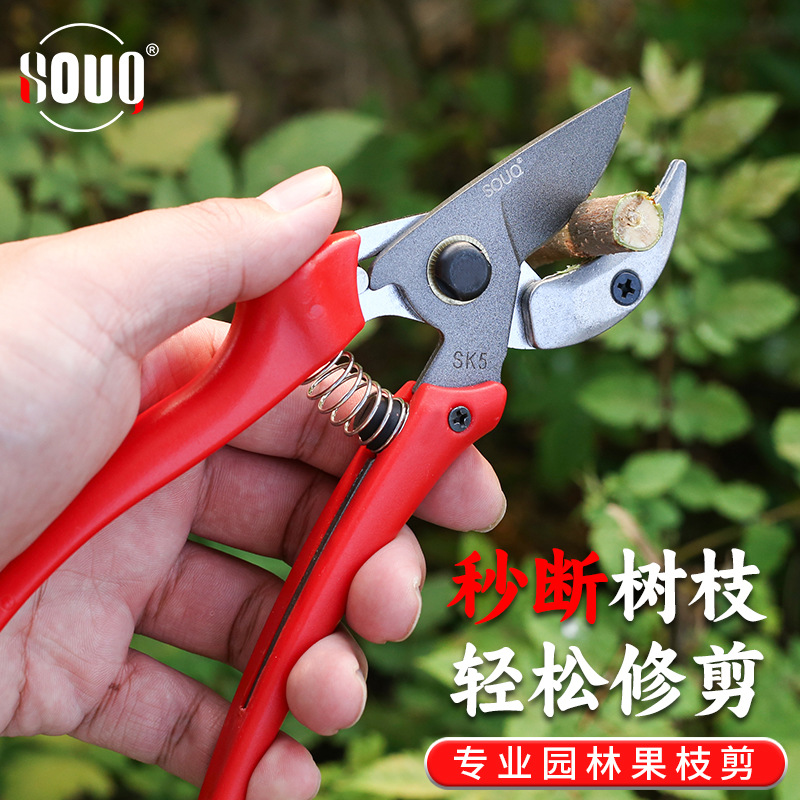 SK-5果枝剪 园林剪刀花草剪园林花艺花枝果树修枝剪刀果枝修枝剪
