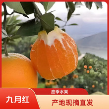 ���w���¼tĚ�����rˮ���[��ե֭�����r����Ӷ�֭��Ƥ�ք������l