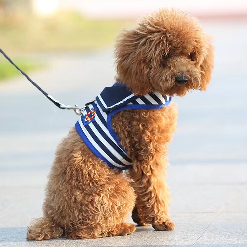 Pet dog leash harness Teddy VIP Pomeranian vest style dog walking rope dog chain puppy small dog