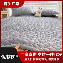 A类大豆牛奶绒床垫软垫冬季垫被加厚保暖家用床铺垫褥子毛毯铺床