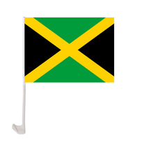 批发牙买加汽车旗 世界各国旗帜 车旗 车窗旗30*45cm涤纶现货