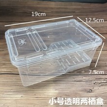 蚕宝宝活体饲养盒爬宠饲养盒蜘蛛守宫蜥蜴蝎子蜈蚣角蛙甲虫饲养箱