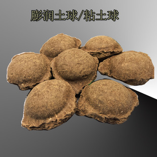 ������U������⾮��©�����荾����ճ�����o����������