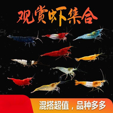 �^�p�r�ײ��r�Sֱ�l�O���{�z�q�S���㼪ʿ�ښ����嵭ˮ�rС�r���]