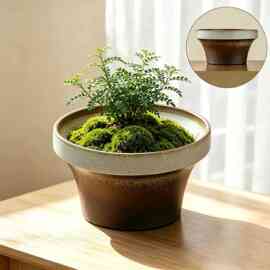 无孔陶瓷水培盆陶瓷材质适合苔藓类中小型植物室内桌面造景花盆