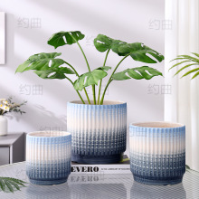 白色北欧陶瓷花盆大号轻奢虎感兰花盆高级家用花瓶亿恒蝴蝶兰专用