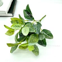 ���̬F؛ 7��׾W�y�zƬС���� ����ֲ���c�����b���ľGֲ